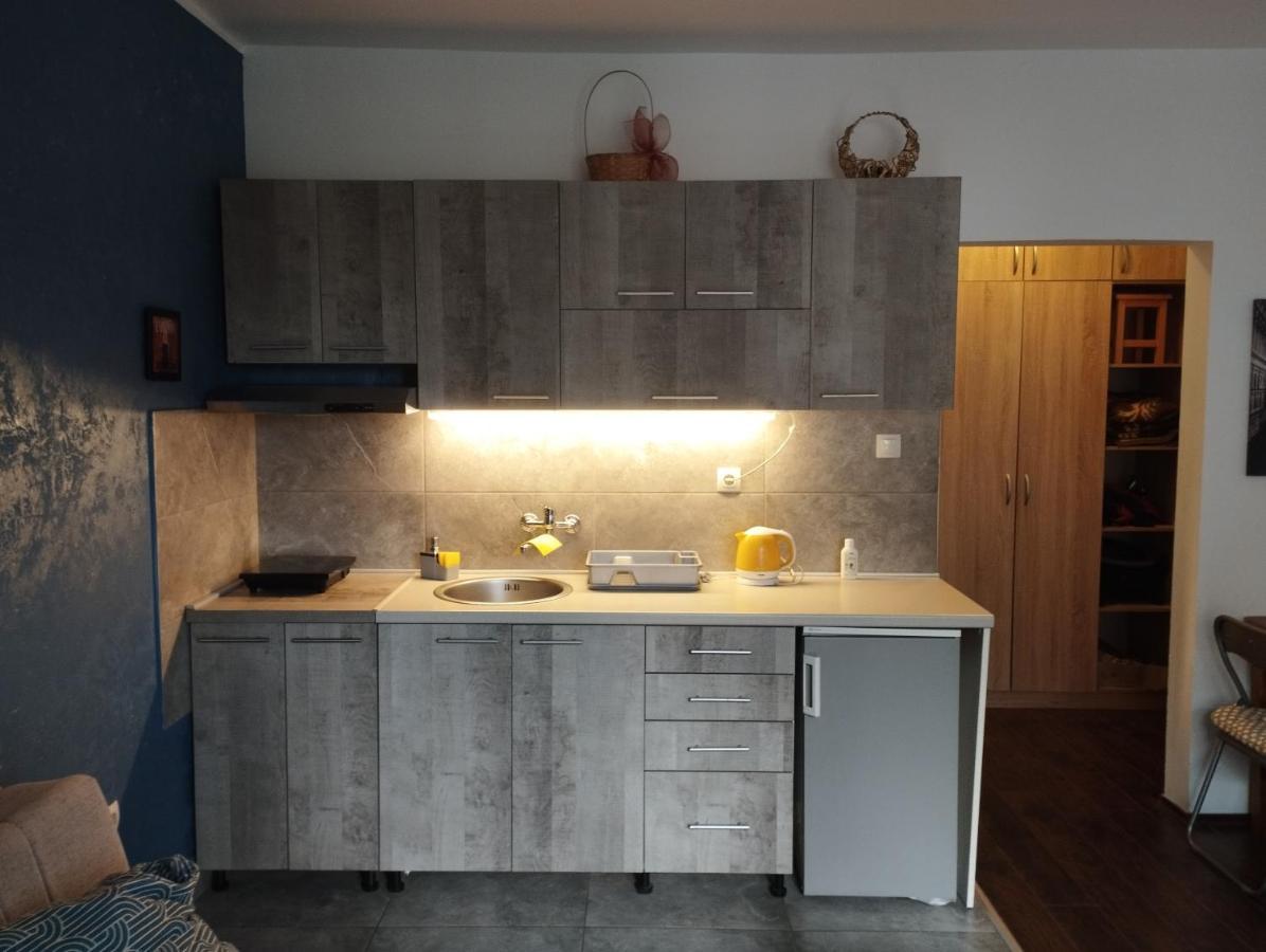 Apartman Tatjana Novi Sad Dış mekan fotoğraf