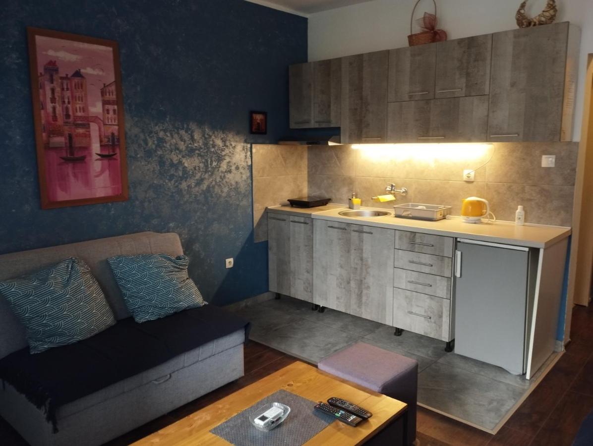 Apartman Tatjana Novi Sad Dış mekan fotoğraf