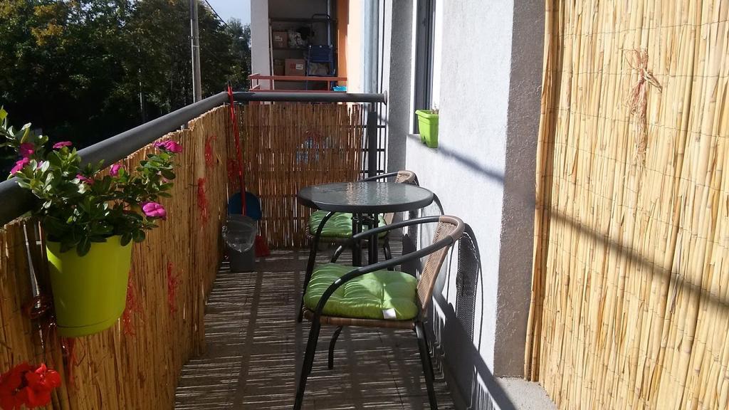 Apartman Tatjana Novi Sad Dış mekan fotoğraf