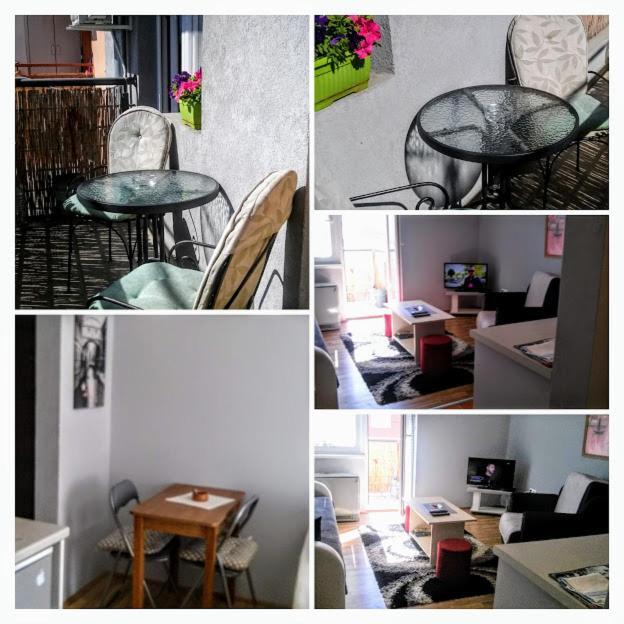 Apartman Tatjana Novi Sad Dış mekan fotoğraf
